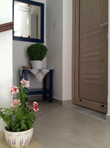 Hostal Nopi Pension
