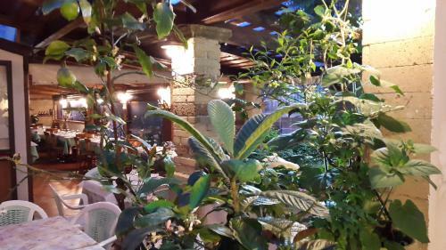 Bed & Breakfast Affittacamere Sandomenico
