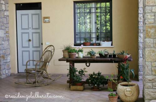 Agroturismo Residenze L'alberata
