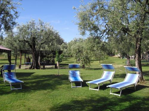 Apartamento Campolivo