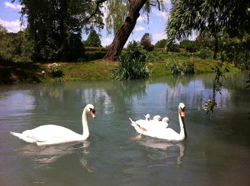 Bed & Breakfast La Finestra Sul Fiume