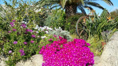 B&B Villa Marlena