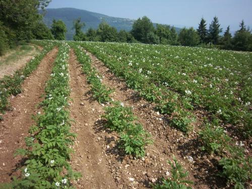 Agroturismo Le Bottesele