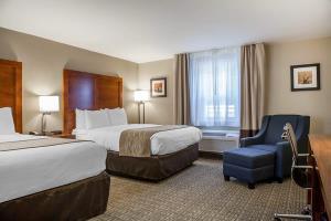 Hotel Comfort Inn & Suites Colonial