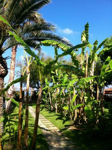 Bed & Breakfast Villa Giada