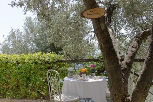 Villa Degli Ulivi B&B