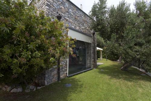 Villa Degli Ulivi B&B