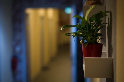 Hostal G�stehaus Kaiserpassage- Ihr Cityhostel