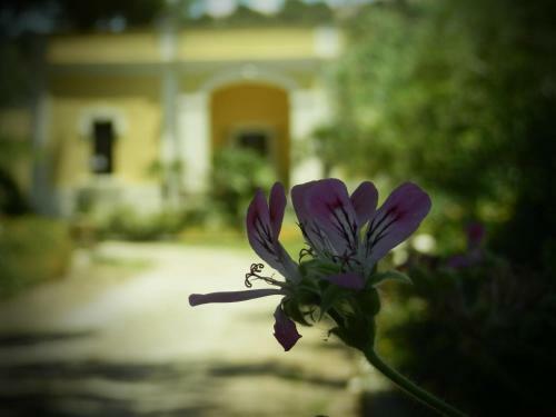 Hostal Dimora Relais Excelsa