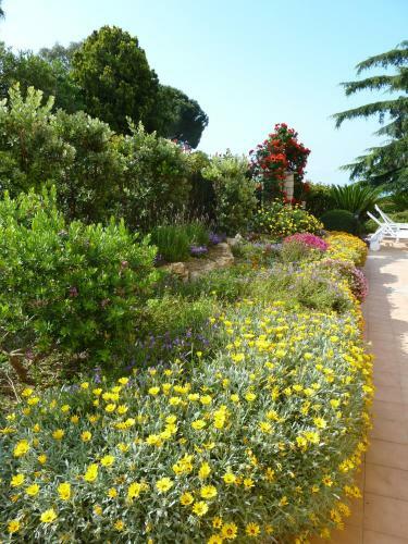 Bed & Breakfast La Finestra Sul Mare