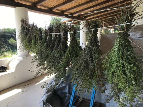 B&B Al Salvatore Di Lipari