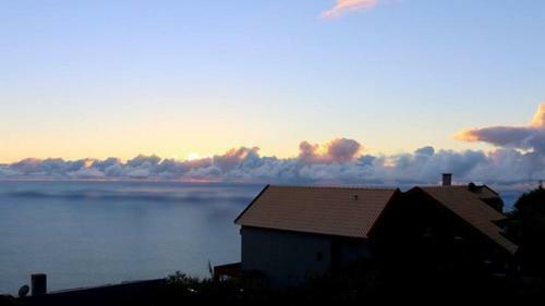 Hostal Madeira Native Motion Guest House