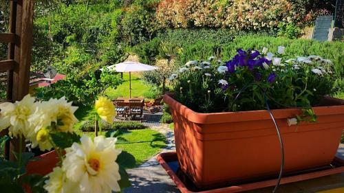 Apartamento Casa Del Cavaliere