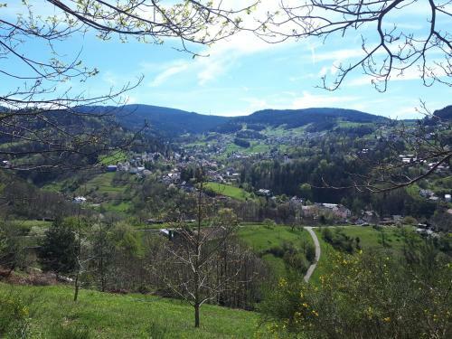 Apartamento Ferienwohnung Schwarzwaldblick