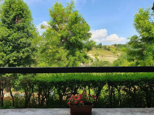 Agroturismo Agriturismo Il Burlino Apartments