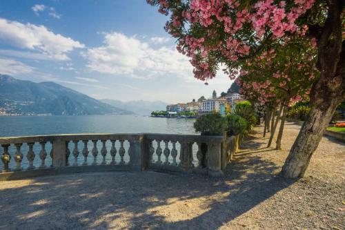 Bellagio's Sunrise