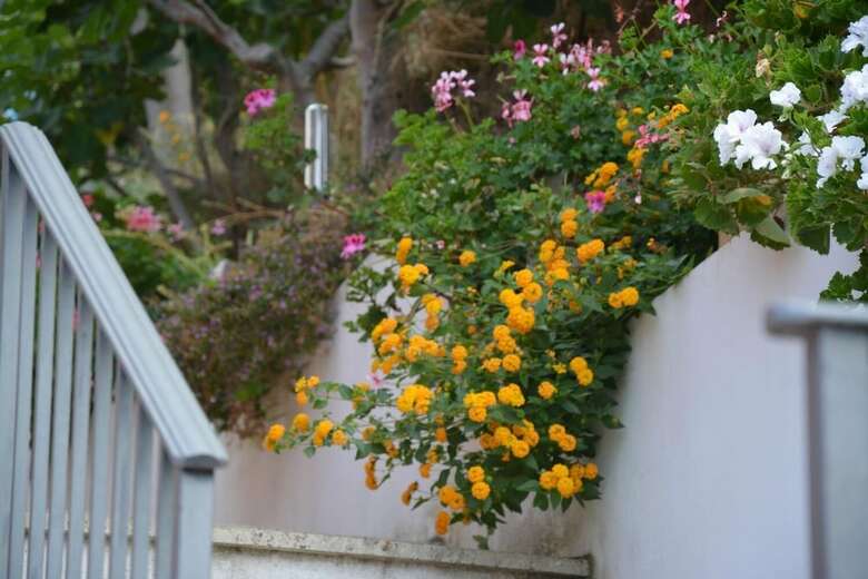 B&B La Casa Rossa