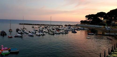 Hotel Albergo Miramare