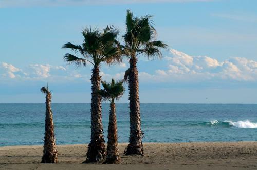 Hotel H�tel La Fr�gate