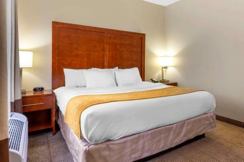 Hotel Comfort Suites - Boone