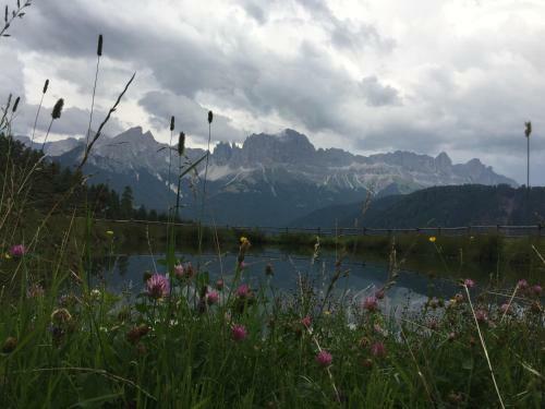 Apartments Dilln G�tl
