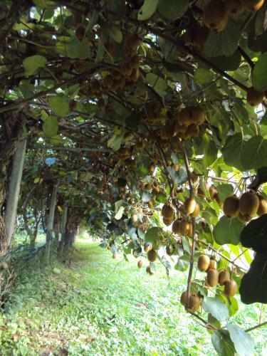 Agroturismo Agriturismo Sant' Anna
