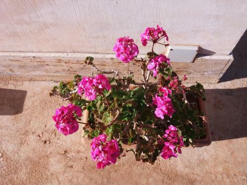 Bed & Breakfast B&amp;b Maria Paola