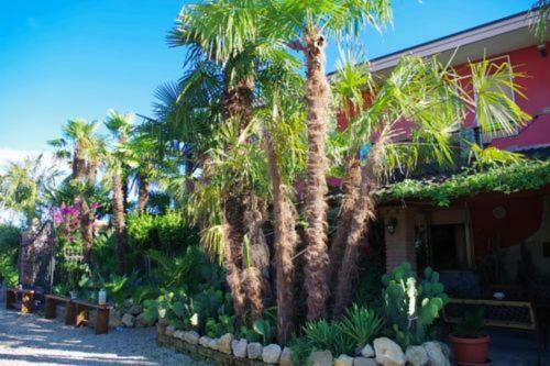 Apartamento B&B Le Palme D'oro