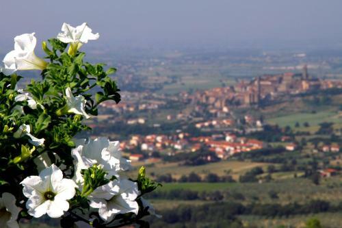Villa La Foce