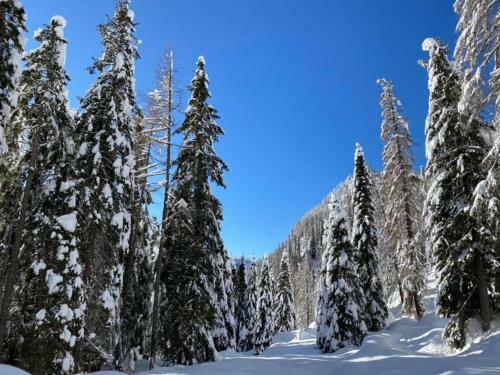 Hotel Chalet Pr� Delle Nasse