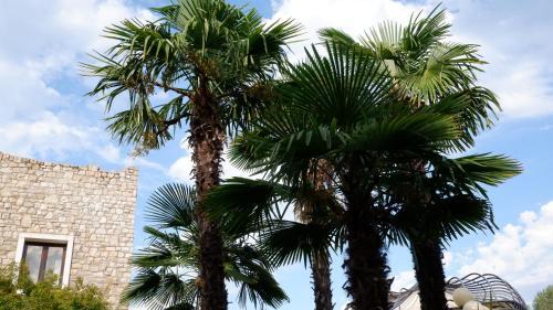 B&B La Torre In Pietra