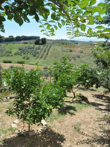 Agroturismo Bb Casa Dona'