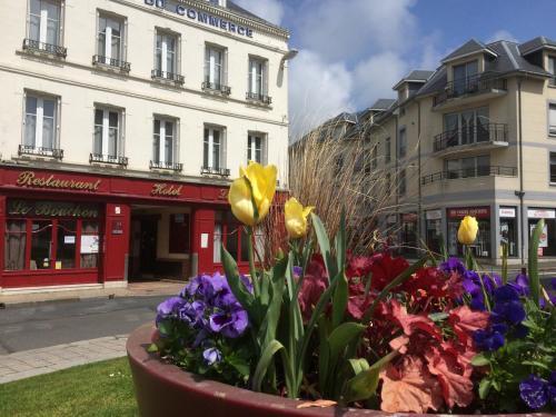 Hotel H�tel Du Commerce