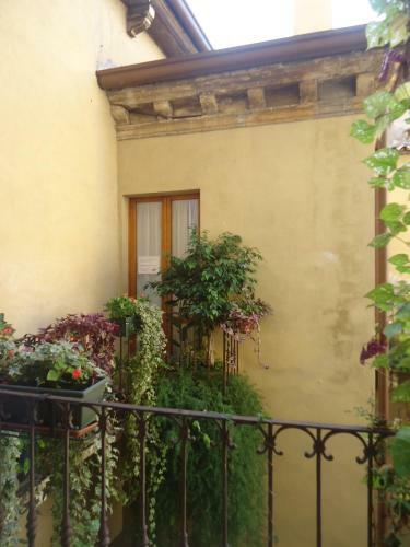 Albergue Protezione Della Giovane