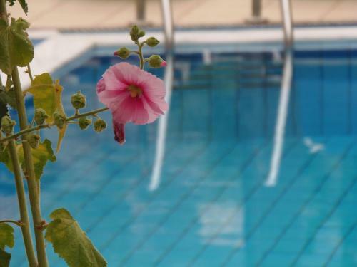 Apartamentos Emerald Hotel