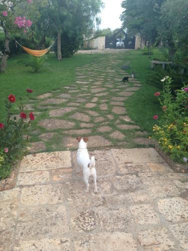Bed & Breakfast Govindashantyhouse