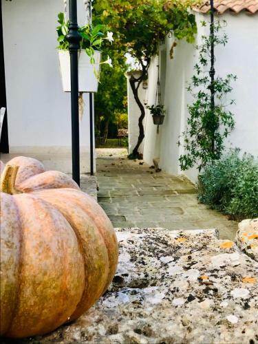 Agroturismo Trulli&stelle B&B