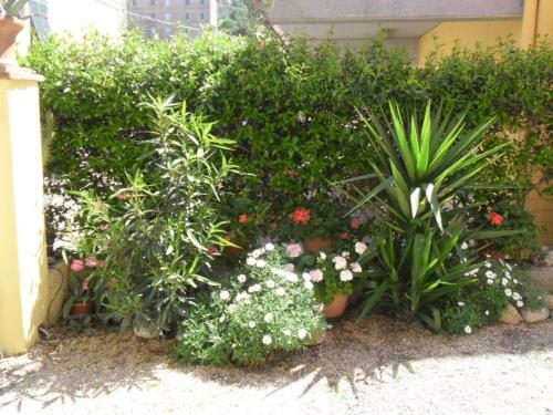 Apartamento Appartamenti Claudia