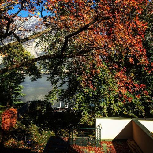 Hotel Casa Sull'albero