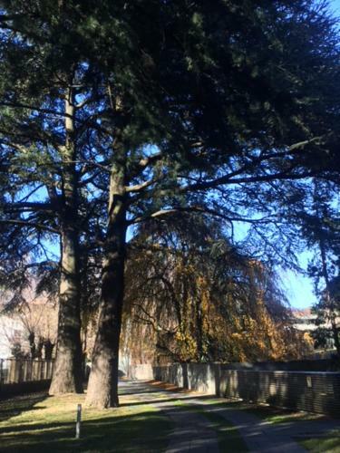 Hotel Casa Sull'albero