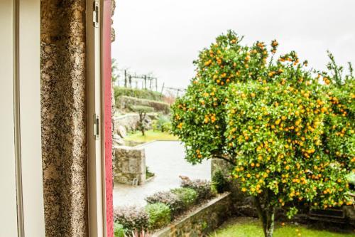Quinta De Padreiro