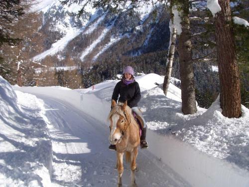 Apartment Valdisole