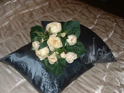 Hostal B&B Prima Classe