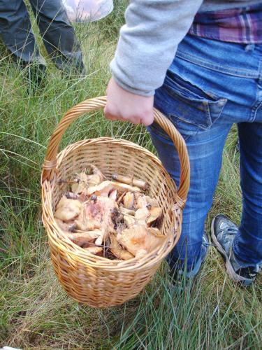 Agroturismo Els Torrents