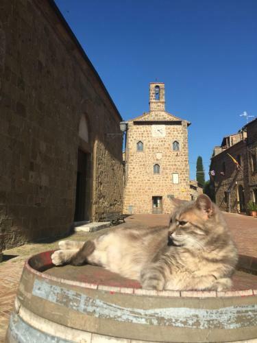 Hostal Notti Etrusche A Sovana