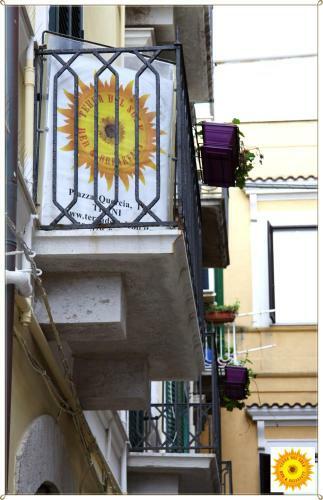 Bed & Breakfast Terra Del Sole
