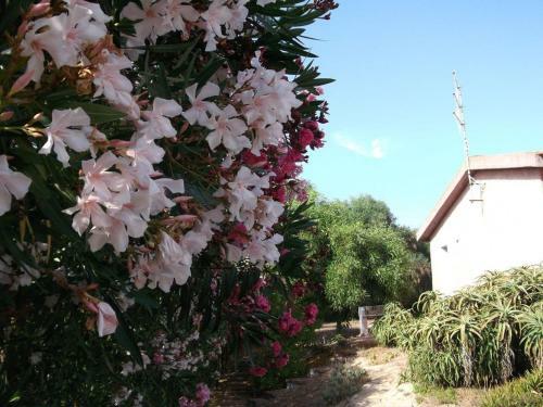 Apartamento Appartamenti La Pineta