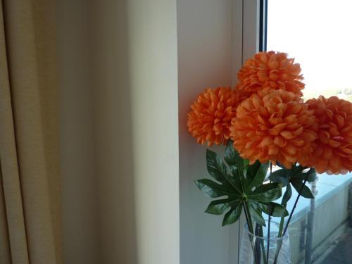 Apartamentos Porth Beachhouse