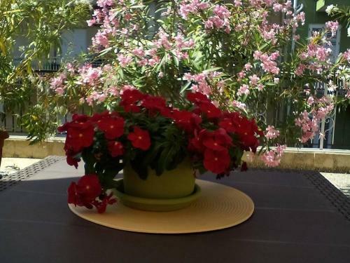 Apartamento Il Terrazzo Di Oleandri