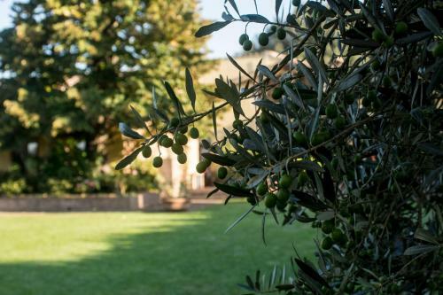 Apartamento Borgo Villa Risi